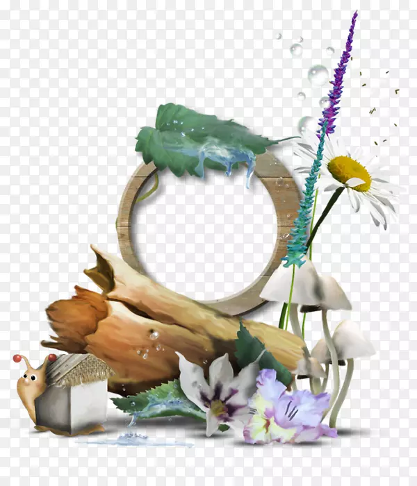 ���ͼ�����-������