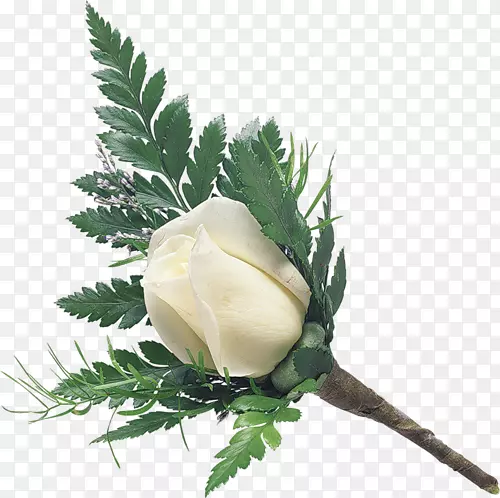 ���-������