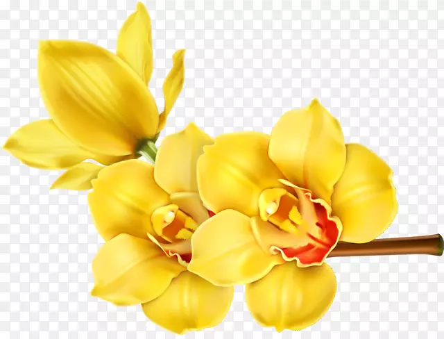 ����������Ƽ�����-��-������