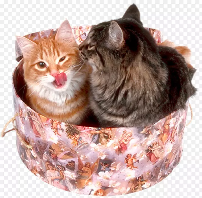 èè-������