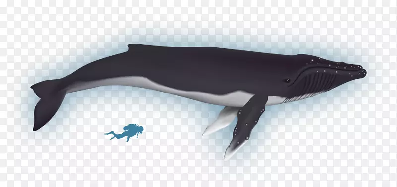 ����-����-������