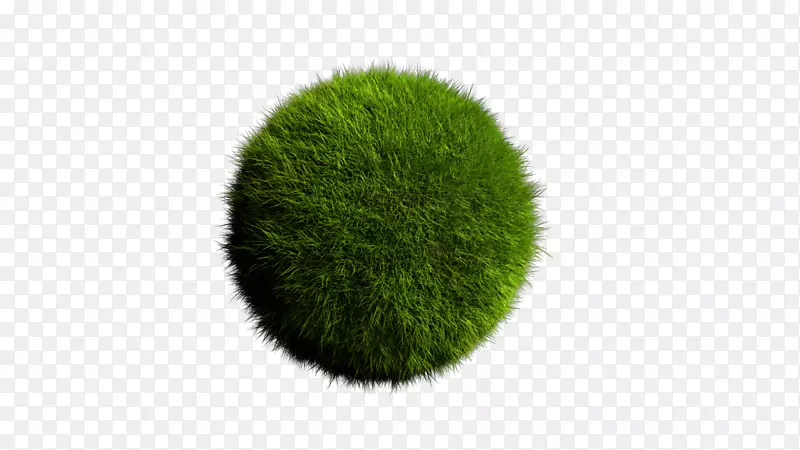 ��ɫ-������