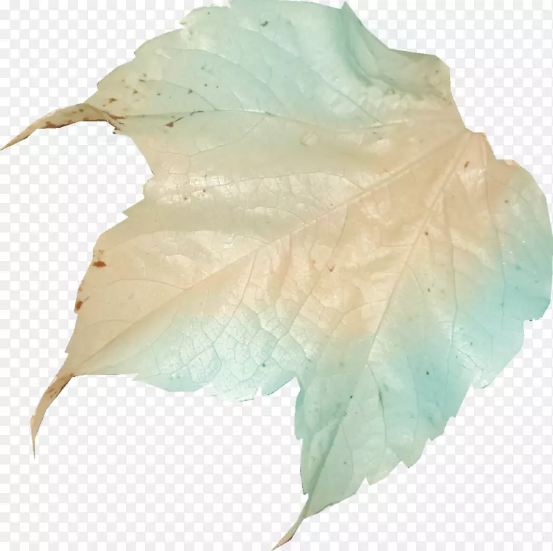 �������갢�������԰-������