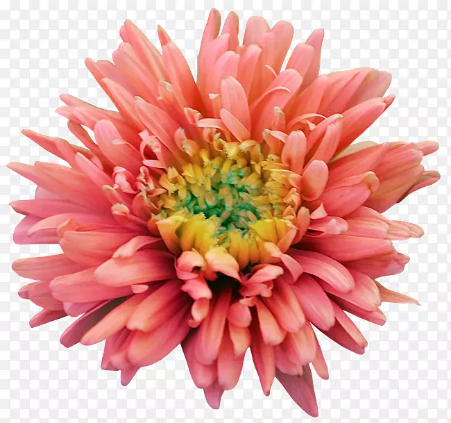 ������������-��-������