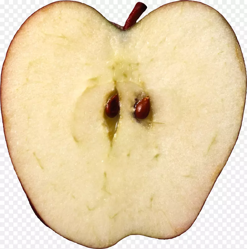 ƻ������ˮ��ɳ������-ƻ��-������