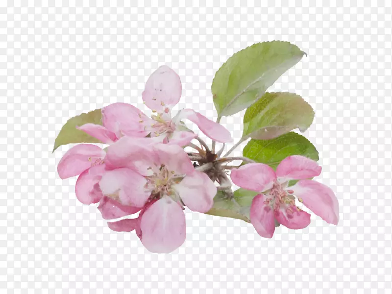 ���ܼ�����-������