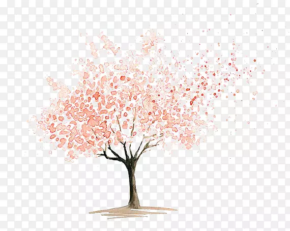 ����ˮ�ʻ�ӣ������ӣ��-������