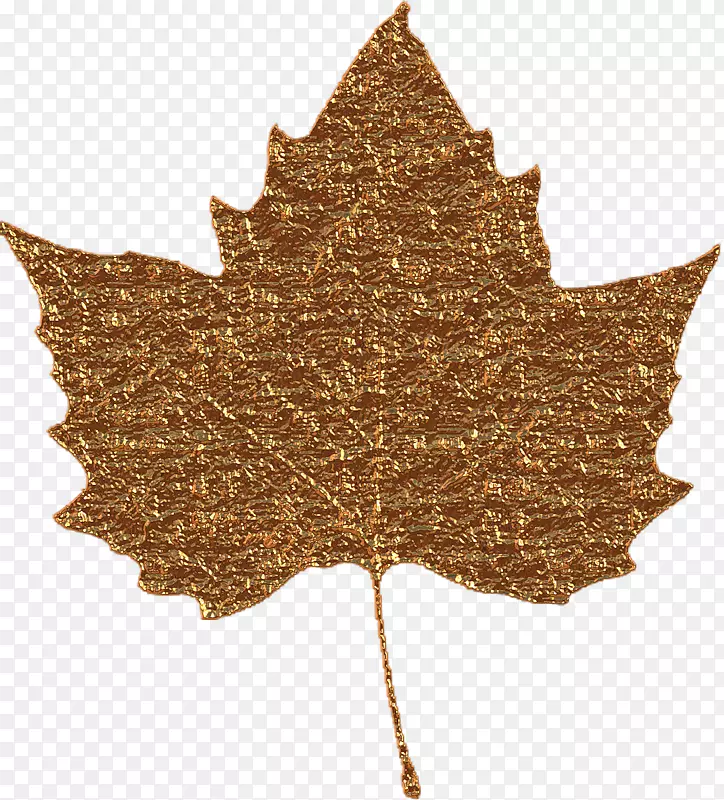 ��ҶBladnerv�������֦-Ҷ-������