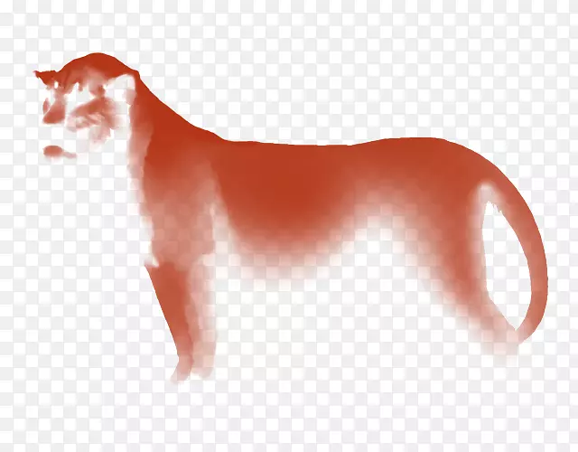 ���롢è����Ȯ�ơ�����-�и�-������