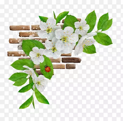 �������и���-����-������