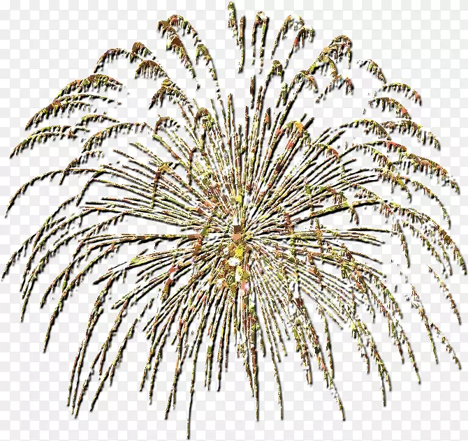 ���̻���-������