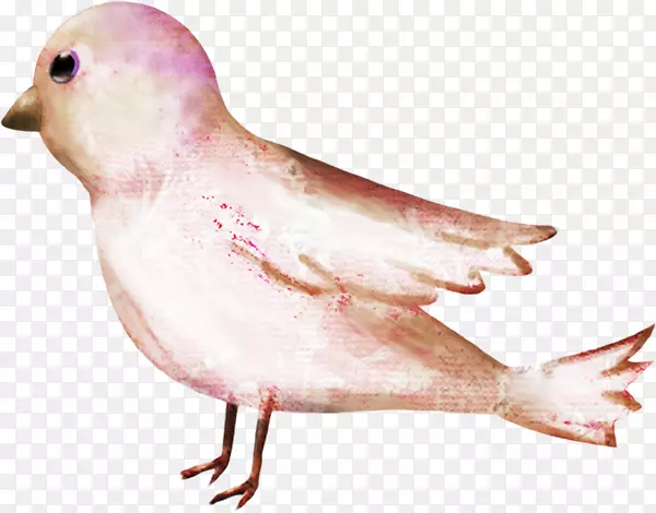 ˮ�ʻ�ˮ�ʻ���.���-������