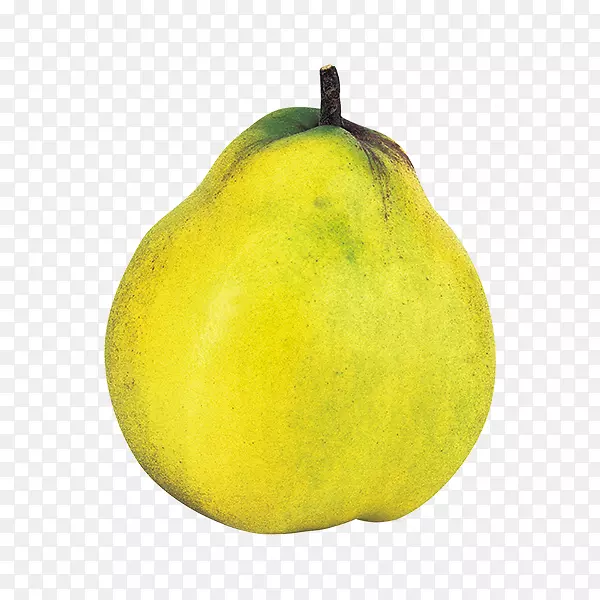 ��˹ˮ���������¸���˹ˮ����ҵ����ͼ��-������