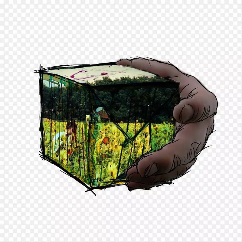 ����-��-������