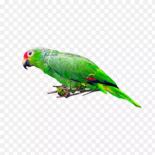 �������ʴ�ԭ��/������Ƭ������-��-������