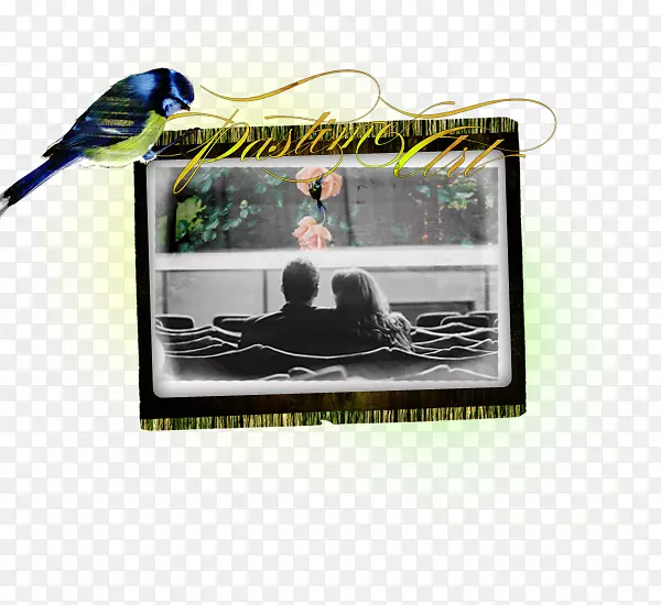 ��������ǲ-������