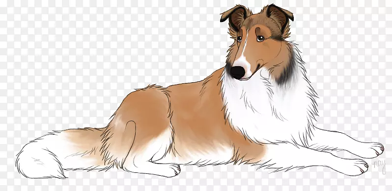 �ֲ�����Ȯ���������Ȯ�����⻬����Ȯ�ո�������Ȯ-����-������