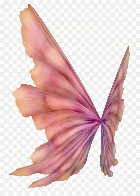 ������ë����-������