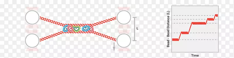 ���ͼ�����ֽͼ���-������