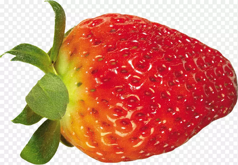 ��ݮ������-��ݮ-������