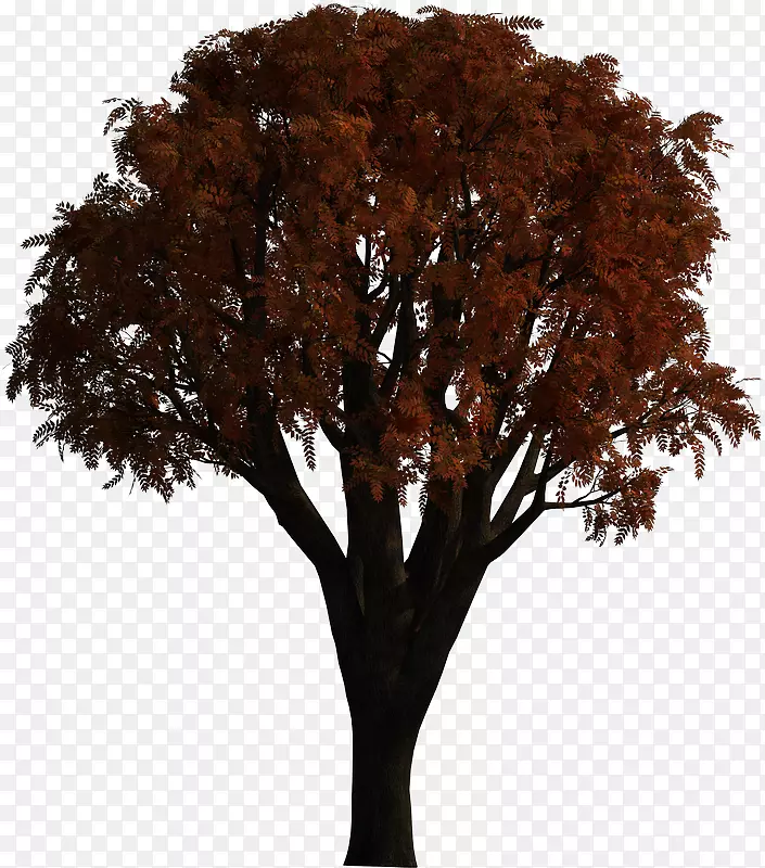 �������ȵ����������������-������