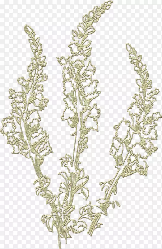 Сֲ֦�ﾥ-������