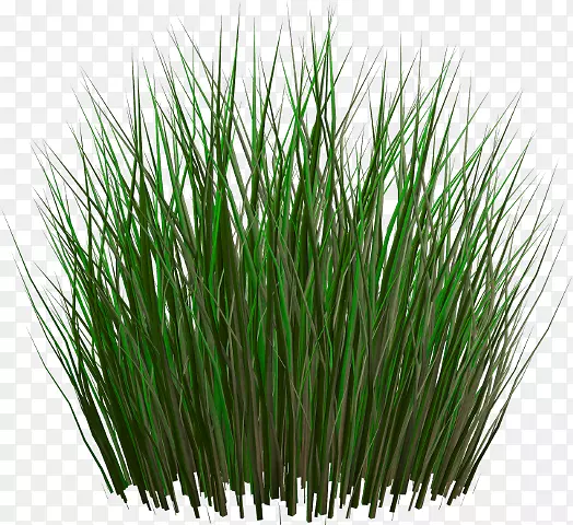 ����ͼ�������-������