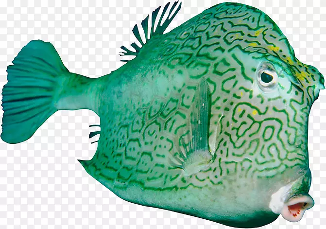 ��������-������