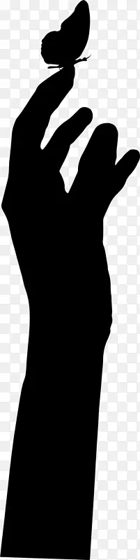 �������������-����-������