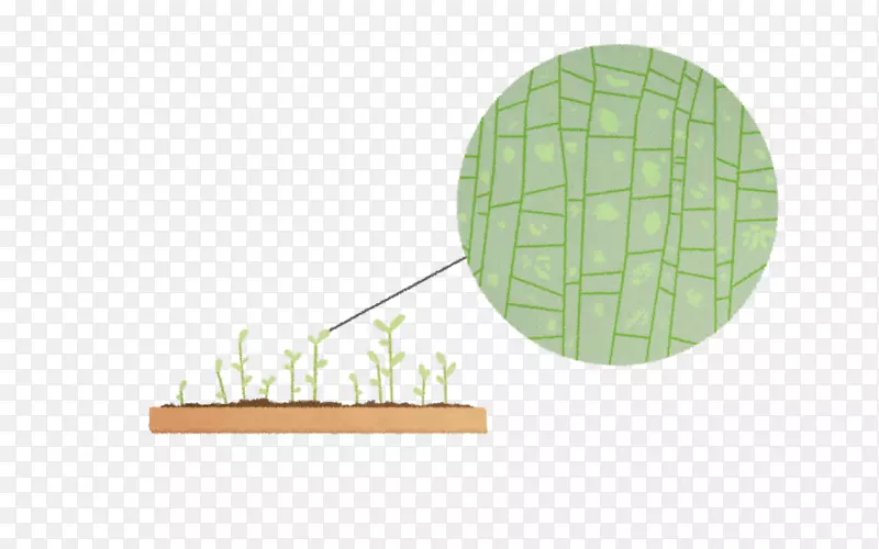 С�ƹ��Ȱ������ϵ�˼ʹ�ϵƷ��-�������-������