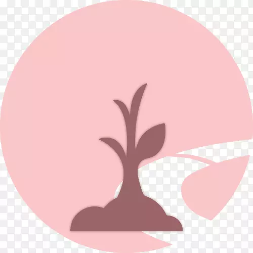 ���������Ż���˾google������ѧ�Ż�-����-������