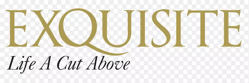 ������⿲�������WBS���������ι�˾-����-������