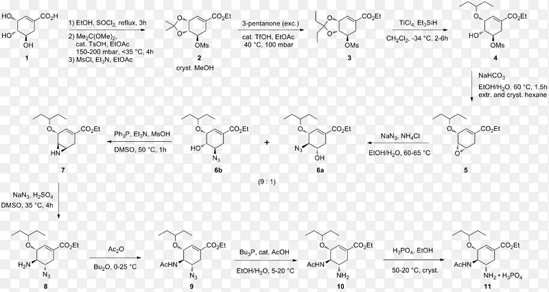 ç�����˾��Τȫ�ϳ�-������