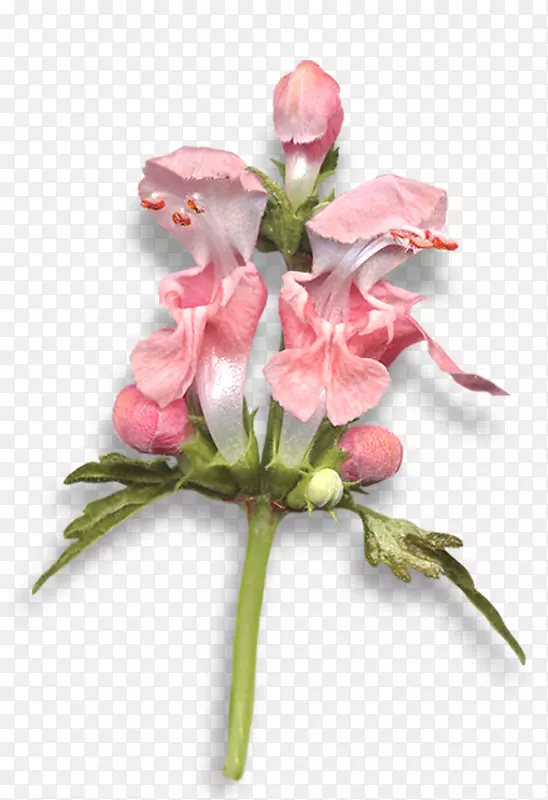 �������-�廨����-������