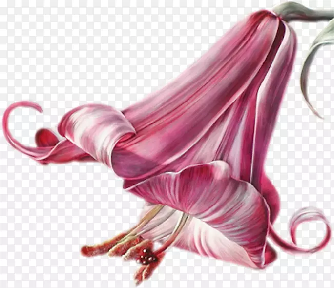 ��������������ưٺϻ�-������