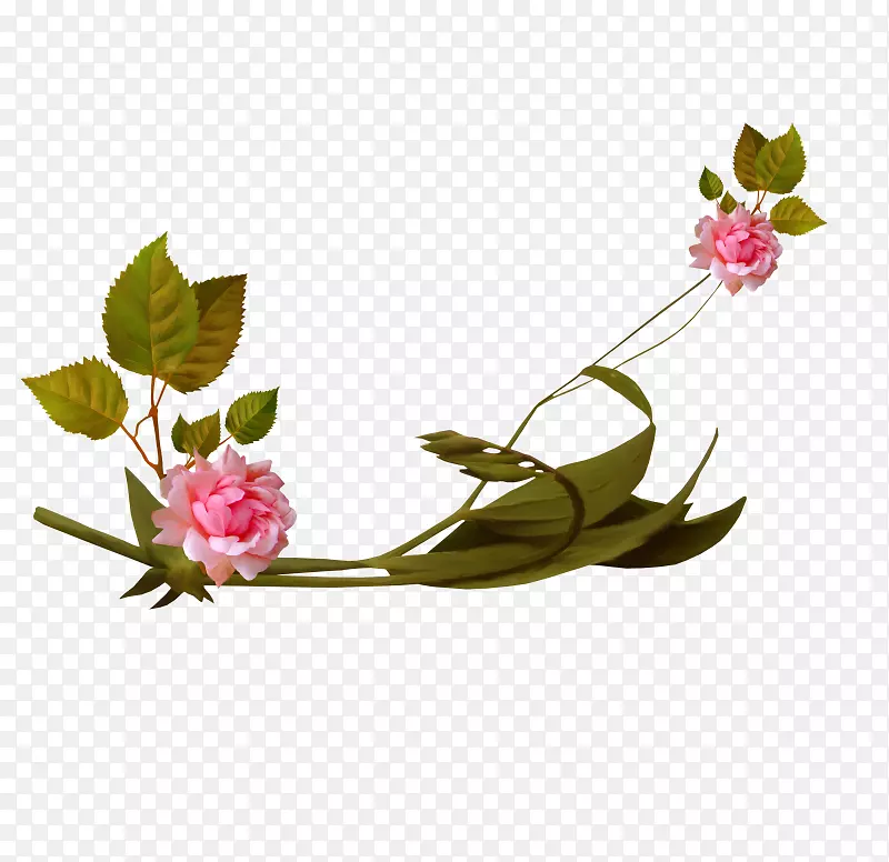 ������ֽ����-������