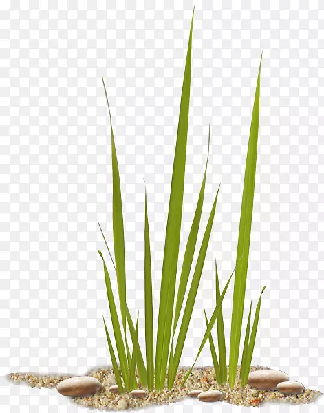 ɳɳ-������