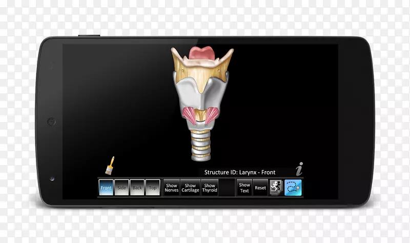 ��׿Ӧ���̵�GooglePlay-android-������