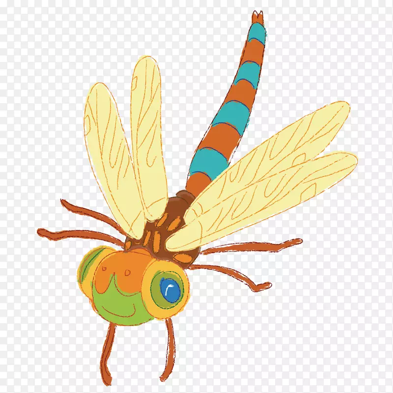 ��������-�ɰ�������-������