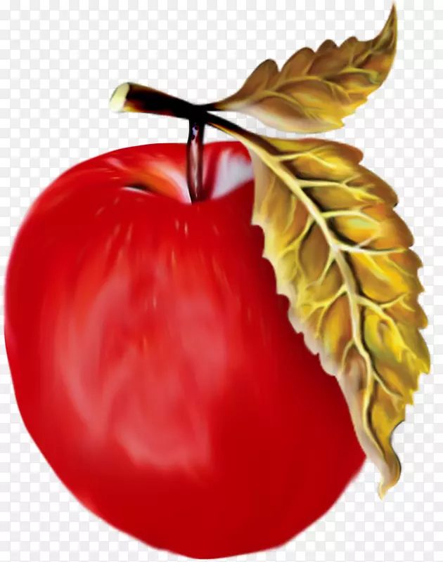 ���ͻ滭������-������