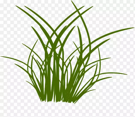 �ݻ���-������