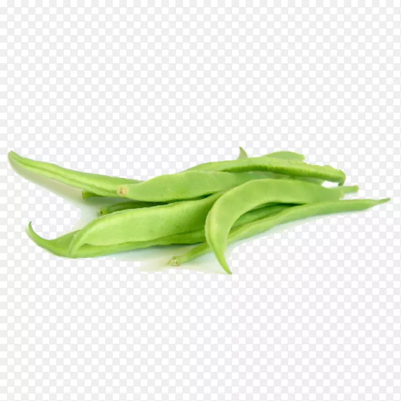 �̶��߲˱ⶹ�߲�-������