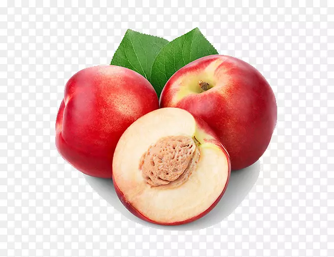 ����ʳƷ�¸���˹������������-������