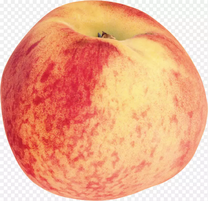 ���ҹ���-ʳ��-������