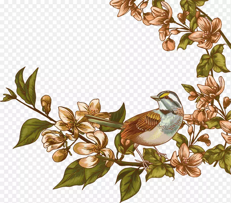 ˮ�ʻ�ˮ�ʻ�-������