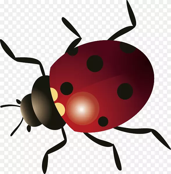 ���������ļ�-����-������