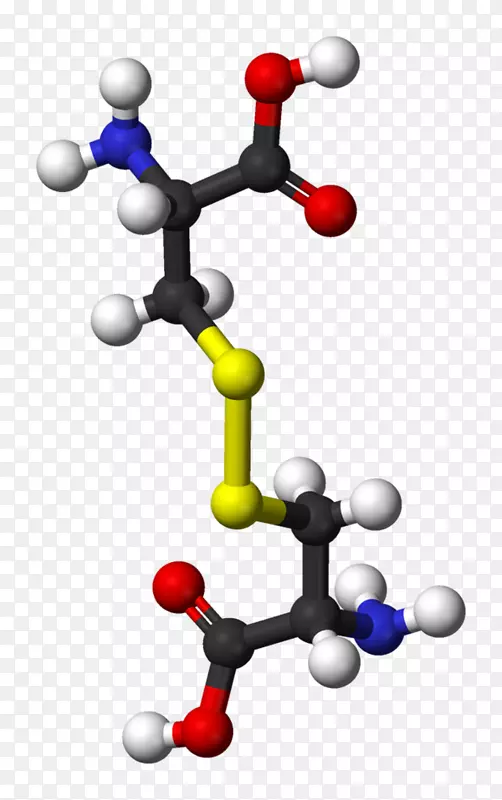�װ�����װ���slc7a11������-������-������