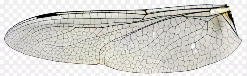 ��������Ѻ�����-����-������