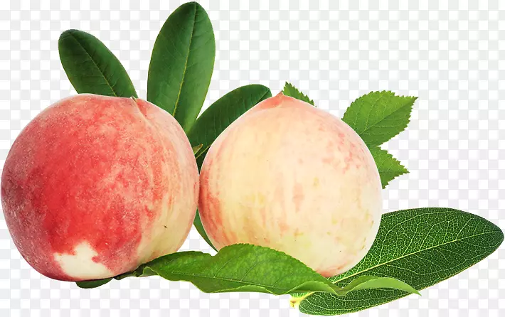 ���ҹ�ʵ-������