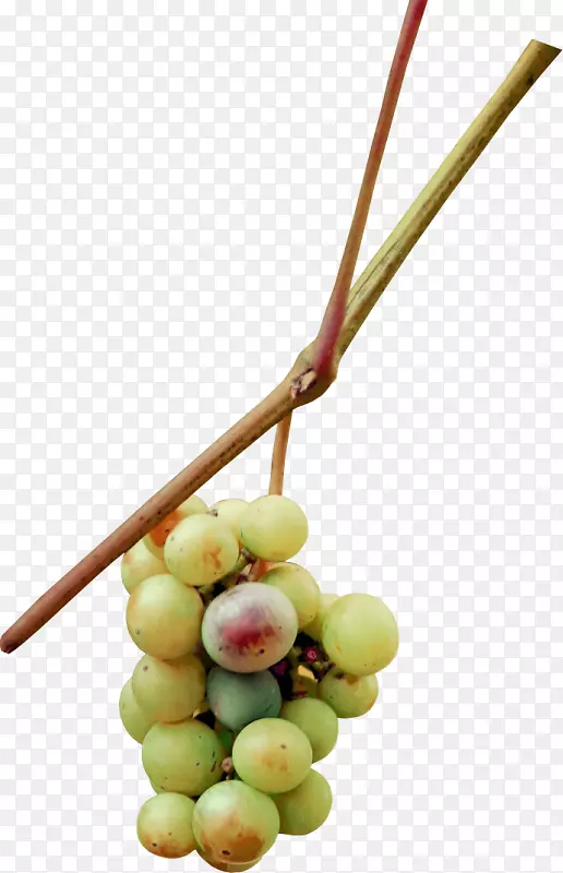 ���ѹ�ʵ-������